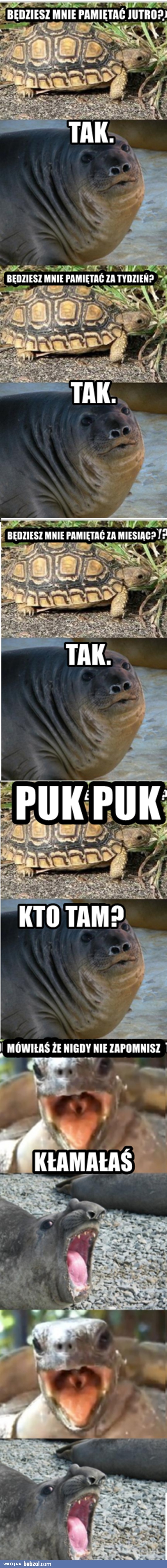 Faceci zawsze kłamią!