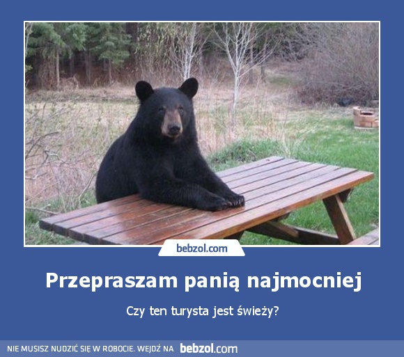 Przepraszam panią najmocniej