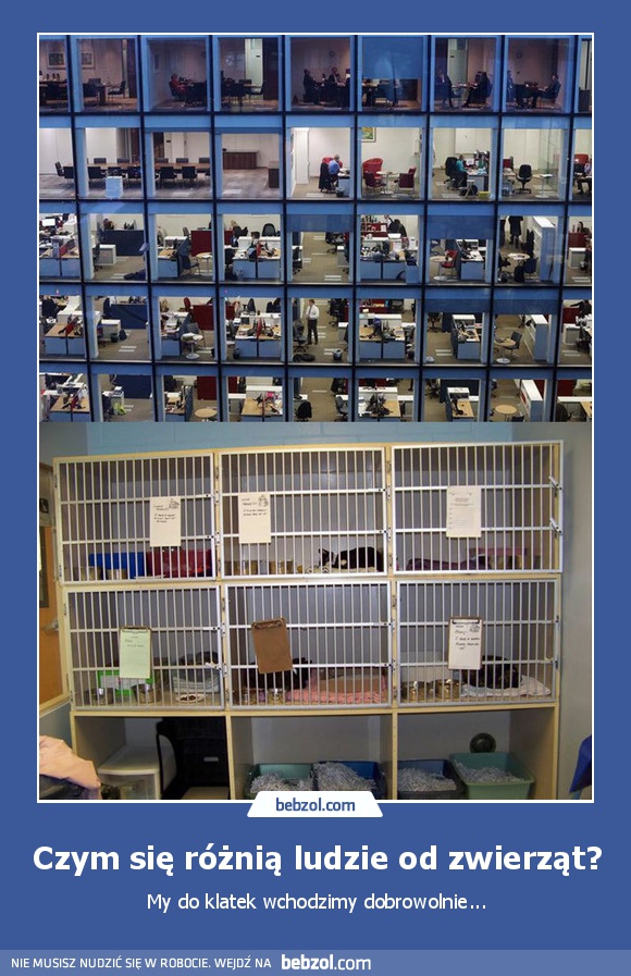 Czym się różnią ludzie od zwierząt?