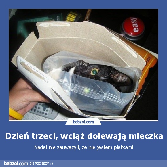 Dzień trzeci, wciąż dolewają mleczka