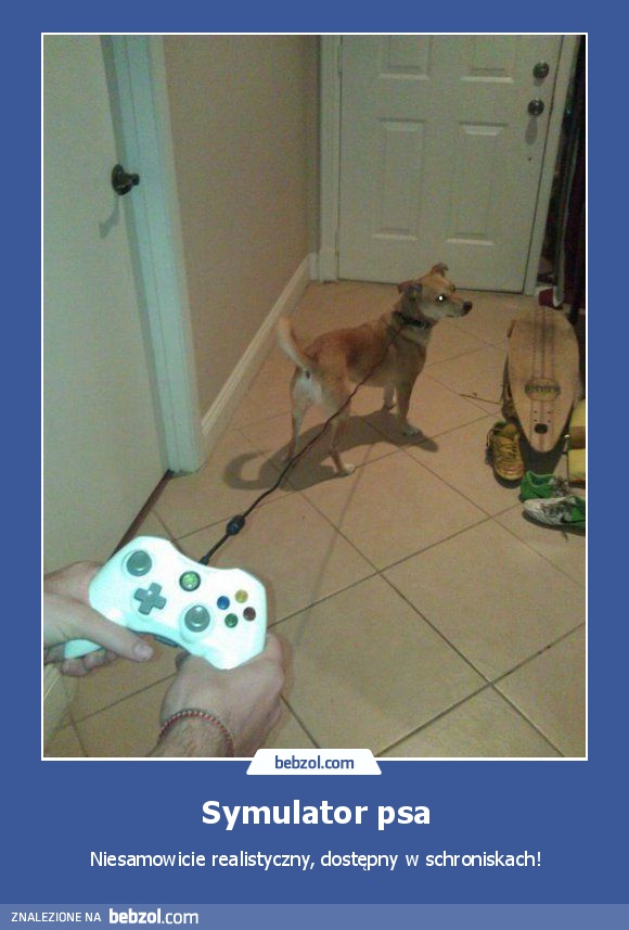 Symulator psa