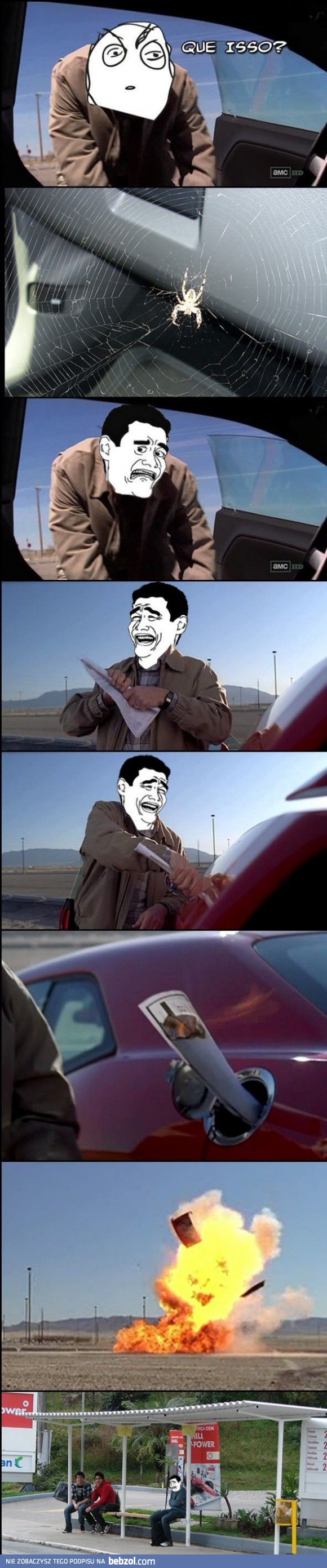 Pająk w samochodzie