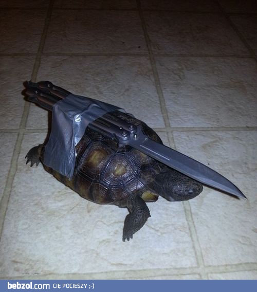 Lepiej nie włamuj się do mojego domu