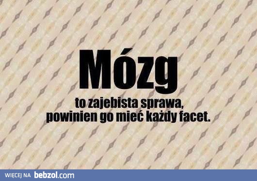 Mózg dla facetów