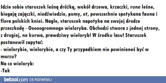 Staruszek i wieloryb