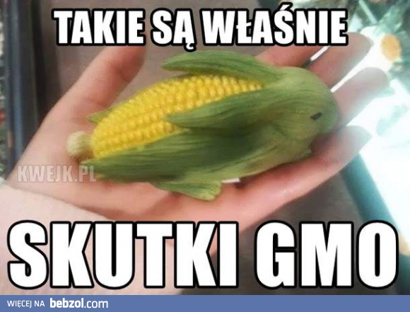 Skutki GMO