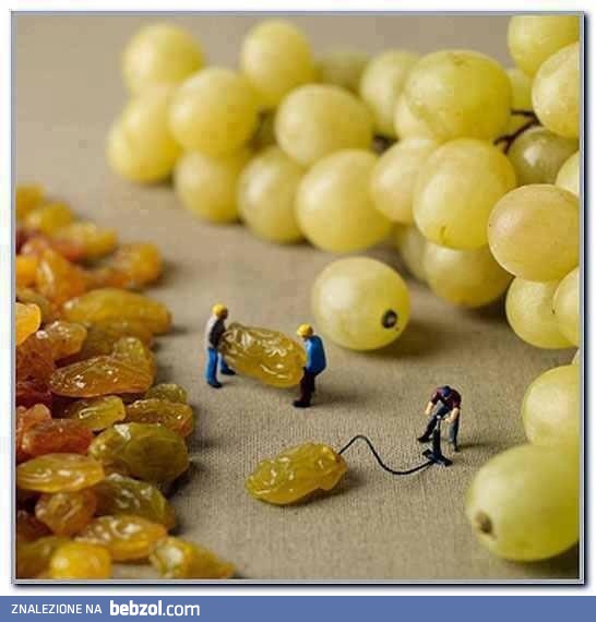 Jak się robi winogrona?