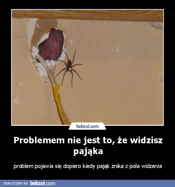 Problemem nie jest to, że widzisz pająka