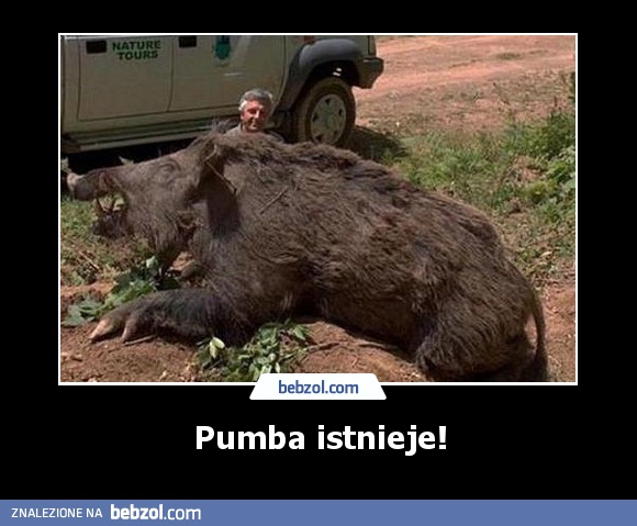 Pumba istnieje!