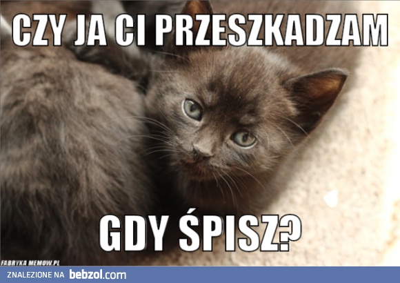 Człowieku, mógłbyś?