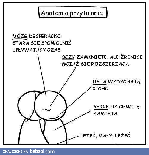 Anatomia przytulania