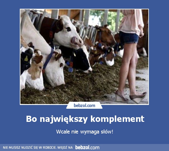 Bo największy komplement