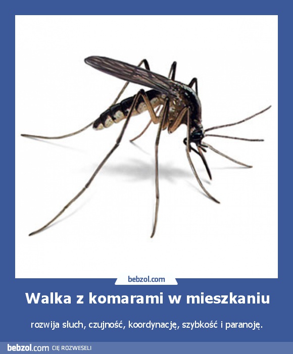 Walka z komarami w mieszkaniu