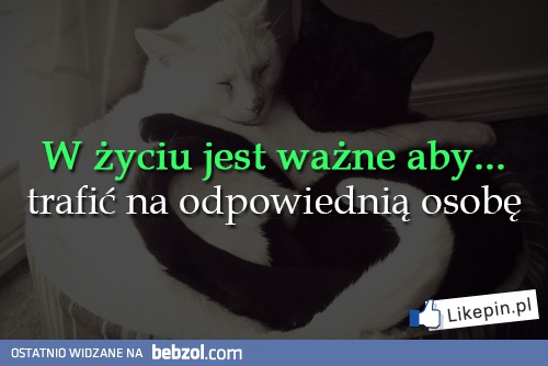 W życiu jest ważne...