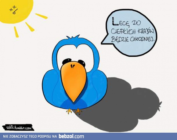 Lecę do ciepłych krajów!