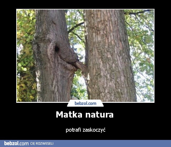 Matka natura 