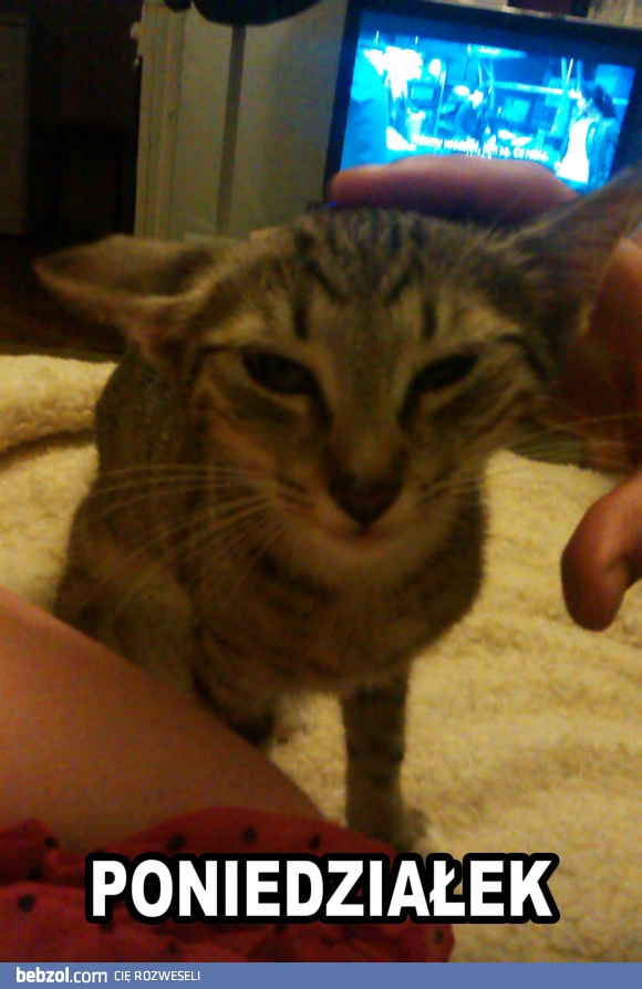 Poniedziałek