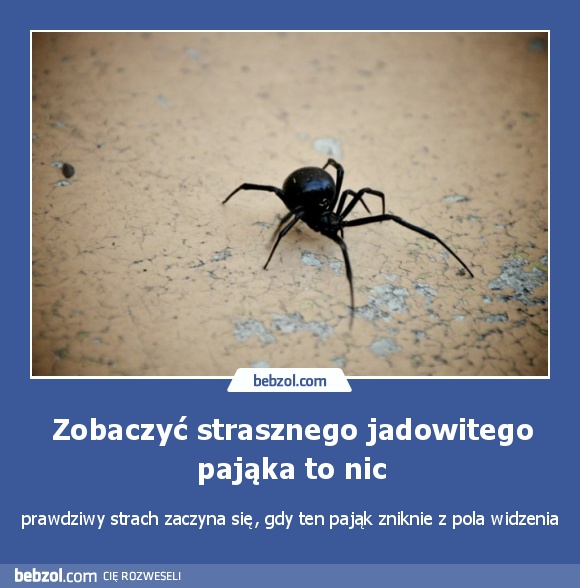 Zobaczyć strasznego jadowitego pająka to nic