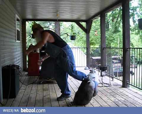 Święty Mikołaj tańczy z szopem