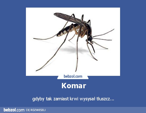 Komar
