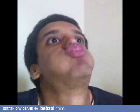 Jak ryby rozmawiają z ludźmi