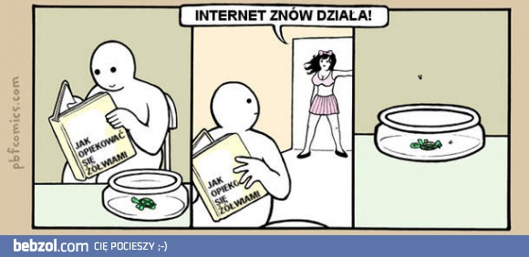 Internet znów działa!