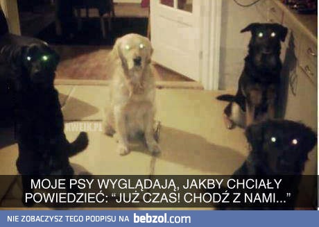Już czas!