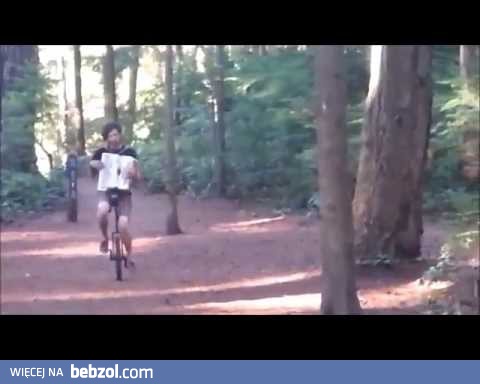 Typowe wyjście do lasu