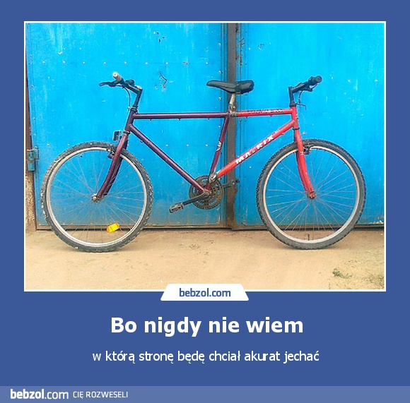 Bo nigdy nie wiem