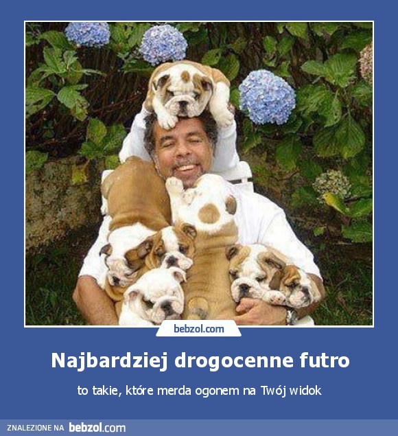 Najbardziej drogocenne futro