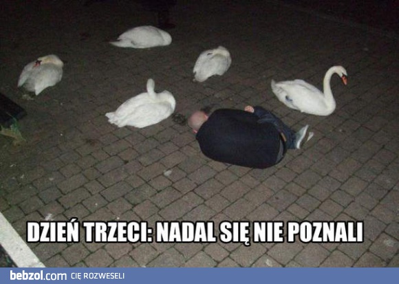 Nadal się nie poznali