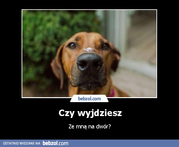 Czy wyjdziesz
