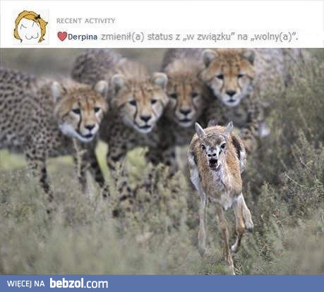 Zmiana statusu związku