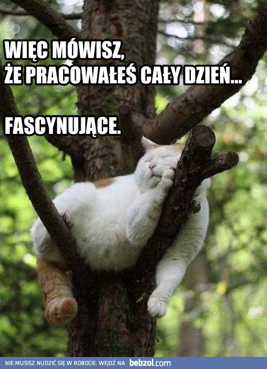 Ale że tak cały dzień?