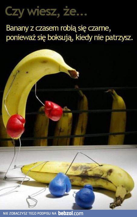Dlatego banany robią się czarne