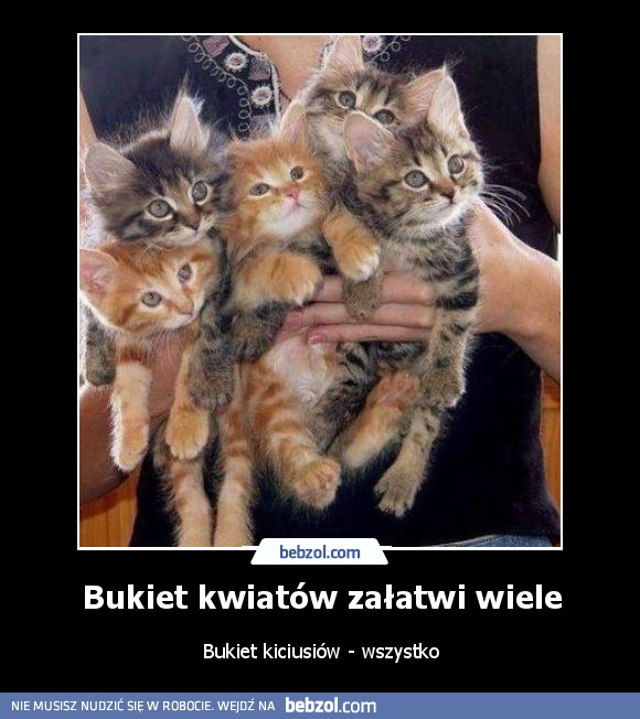 Bukiet kwiatów załatwi wiele