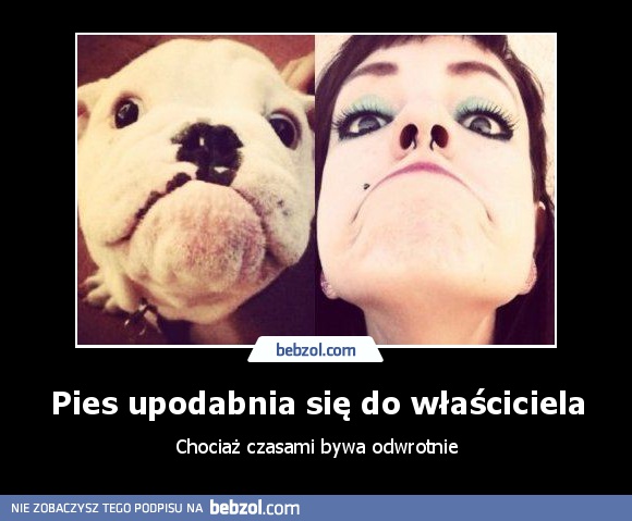 Pies upodabnia się do właściciela