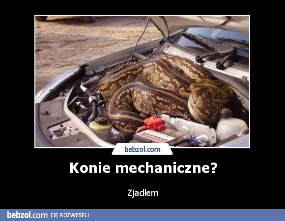 Konie mechaniczne?