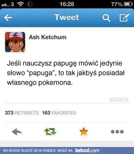 Możesz mieć Pokemona!