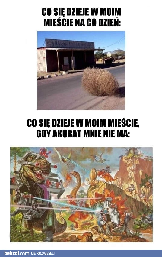 Co się dzieje w moim mieście