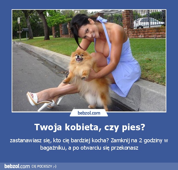 Twoja kobieta, czy pies?