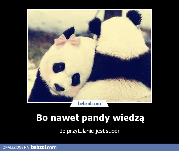 Bo nawet pandy wiedzą