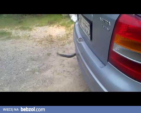 Wiejski tuning - dętka na wydechu