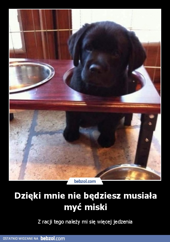 Dzięki mnie nie będziesz musiała myć miski