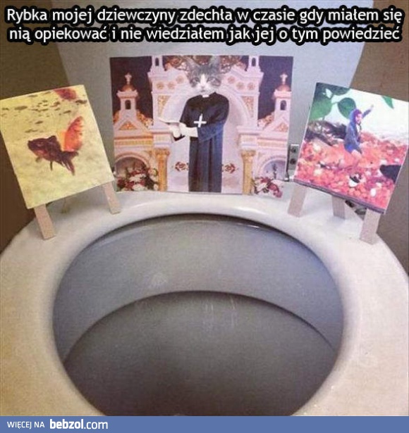 Rybka mojej dziewczyny