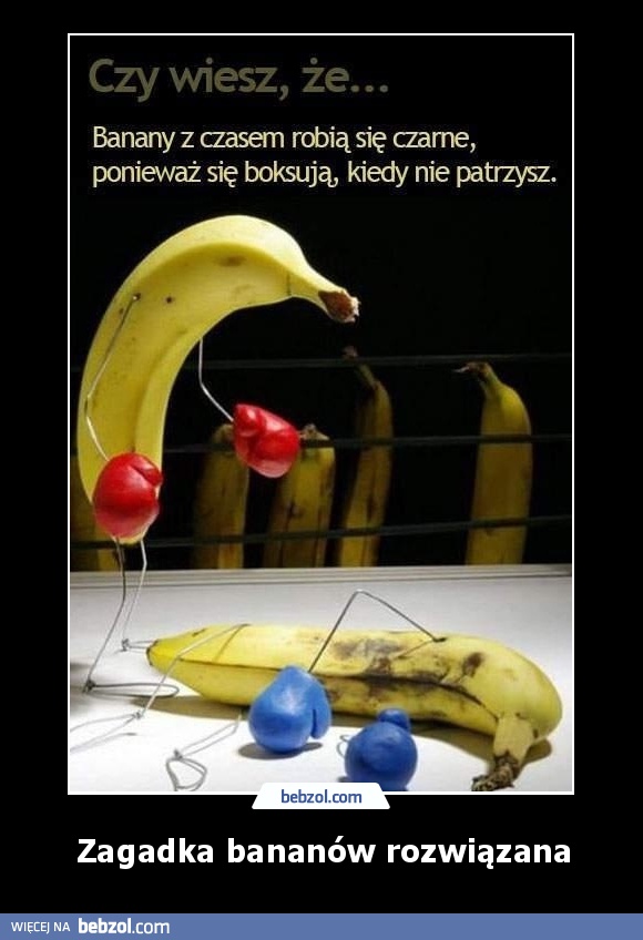 Zagadka bananów rozwiązana