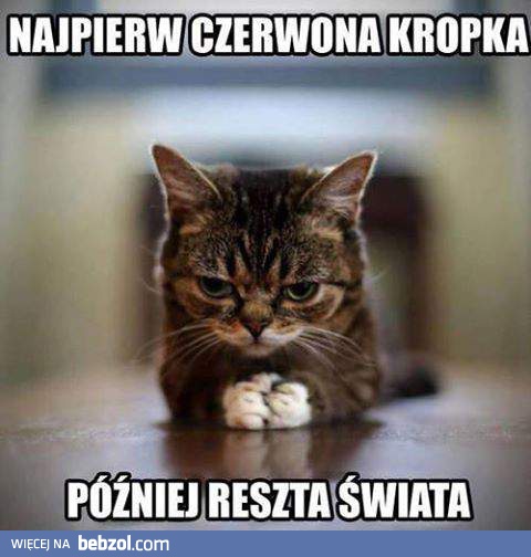 Koci plan przejęcia władzy nad światem