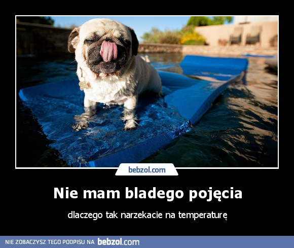 Nie mam bladego pojęcia