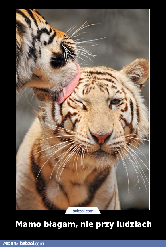 Mamo błagam, nie przy ludziach