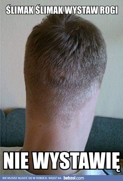 Ślimak ślimak wystaw rogi!